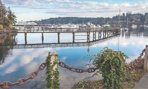 Bridge Back Project: Origin Story